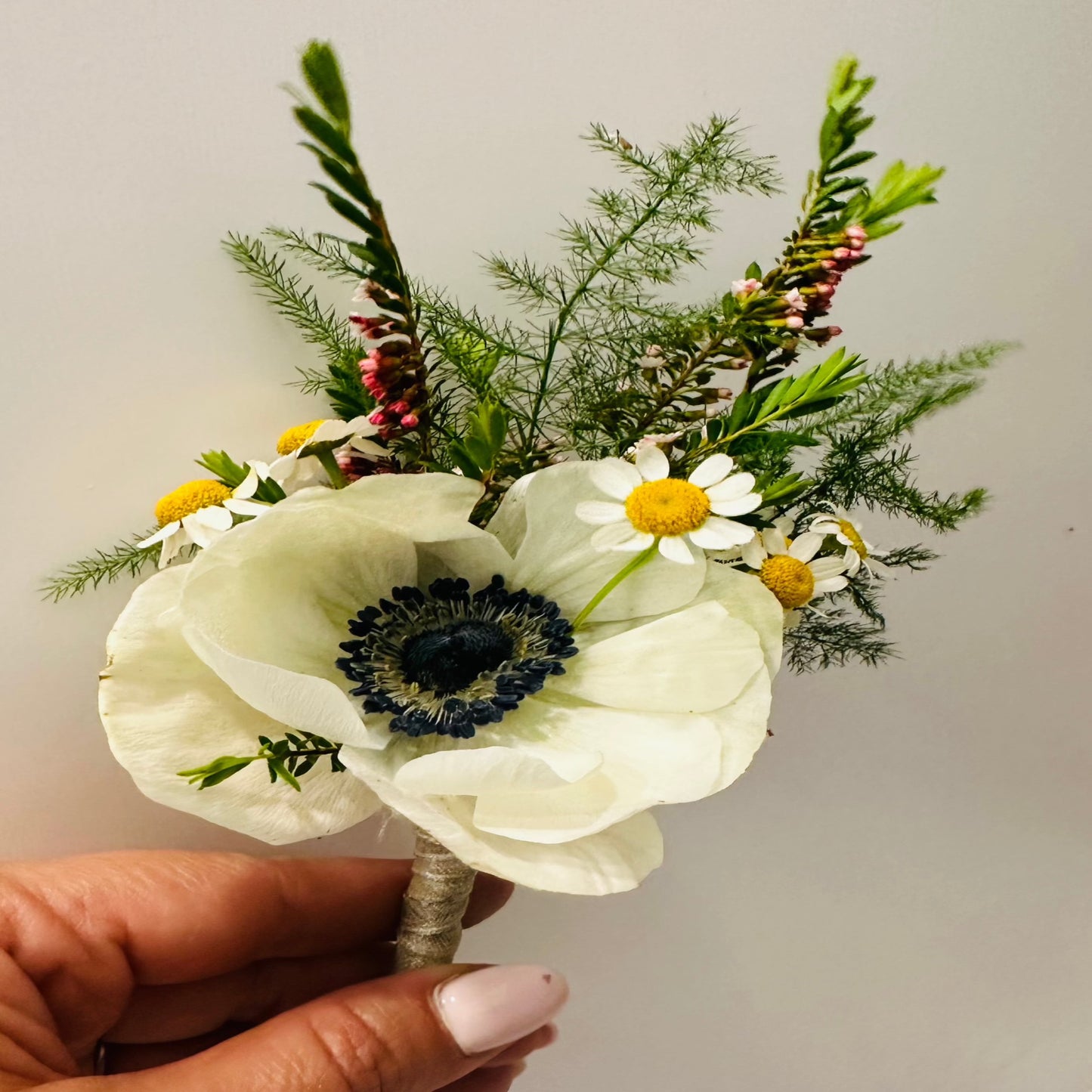 Boutonniere Anemone